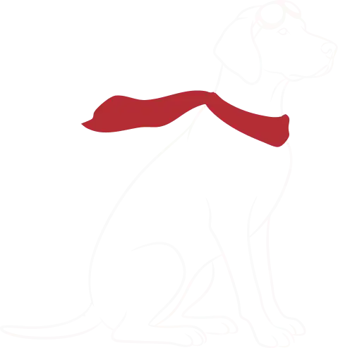 Bird Dog Mascot